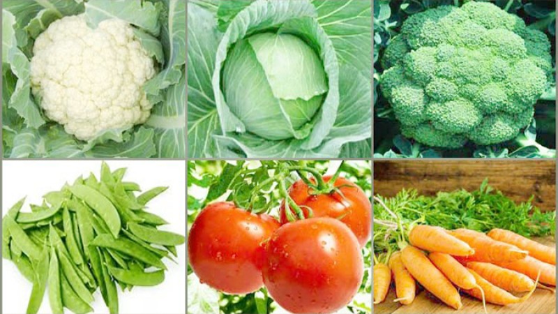 বাজারে বেড়েছে সবজি ও সব ধরনের মুরগির দাম