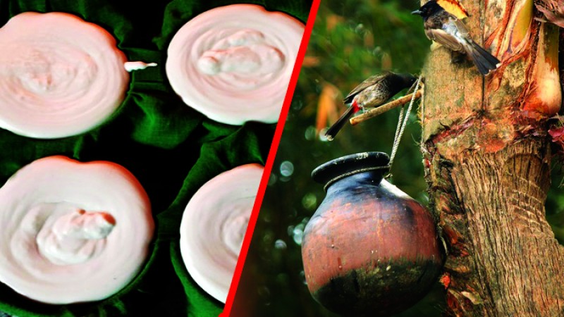 মানিকগঞ্জের শত বছরের ঐতিহ্যবাহী ঝিটকার ‘হাজারি গুড়’