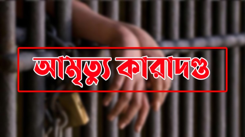 পলাশবাড়ীতে জামায়াত নেতাসহ ৮ জনের আমৃত্যু কারাদণ্ড