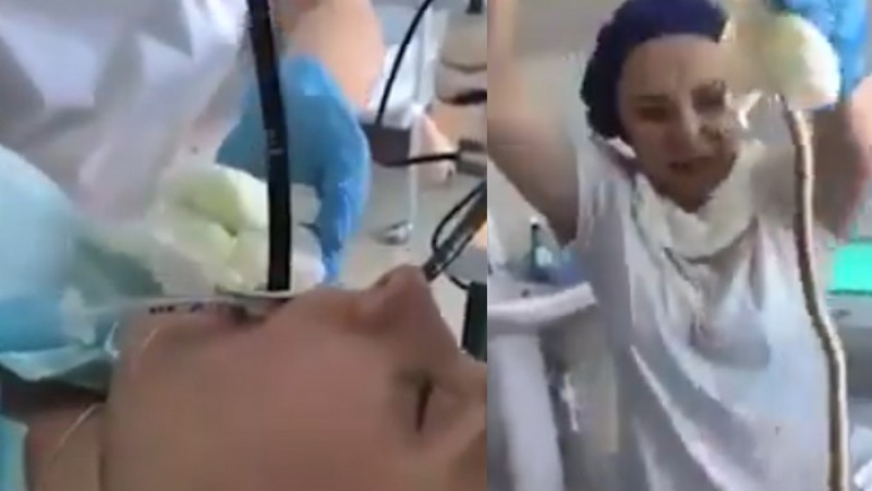 তরুণীর পেট থেকে বের হলো ৪ ফুট লম্বা সাপ!