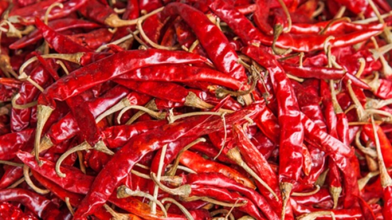 নানা প্রতিবন্ধকতায় ব্যাহত ভারতের শুকনো মরিচ সরবরাহ