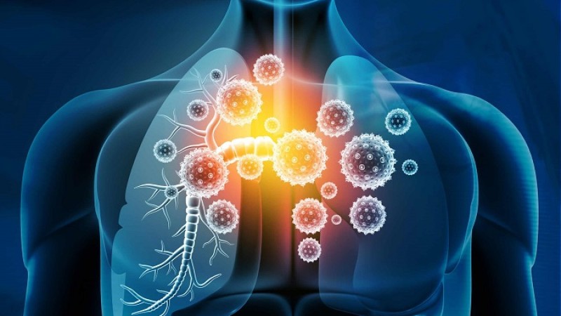 শরীরে রোগ প্রতিরোধ ক্ষমতা কম বুঝবেন যে লক্ষণে