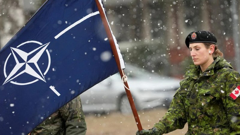 ইউক্রেনকে ন্যাটোতে চাচ্ছে যে ৯ দেশ