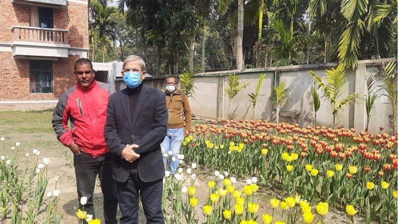 তেঁতুলিয়ার টিউলিপের সৌন্দর্য দেখে অভিভূত মির্জা ফখরুল