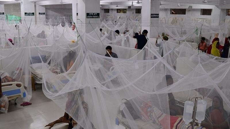 ডেঙ্গুতে আক্রান্ত আরও ২৩৩ জন