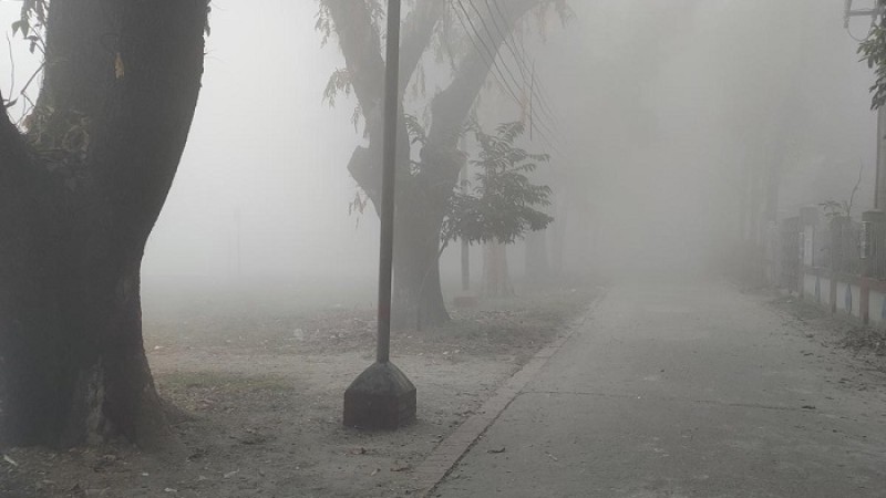 কুয়াশার চাদরে ঢাকা পড়েছে রাজধানী
