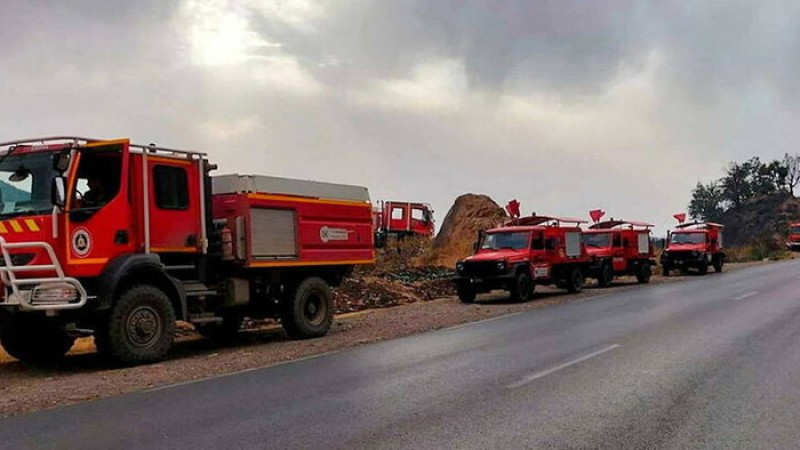 আলজেরিয়ায় দাবানলে মৃতের সংখ্যা বেড়ে ৩৮