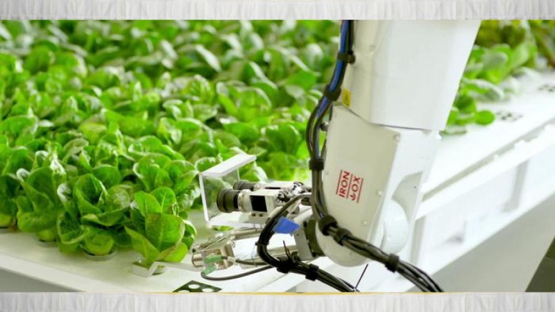 ভবিষ্যতের চাষ ‘স্মার্ট' চাষ