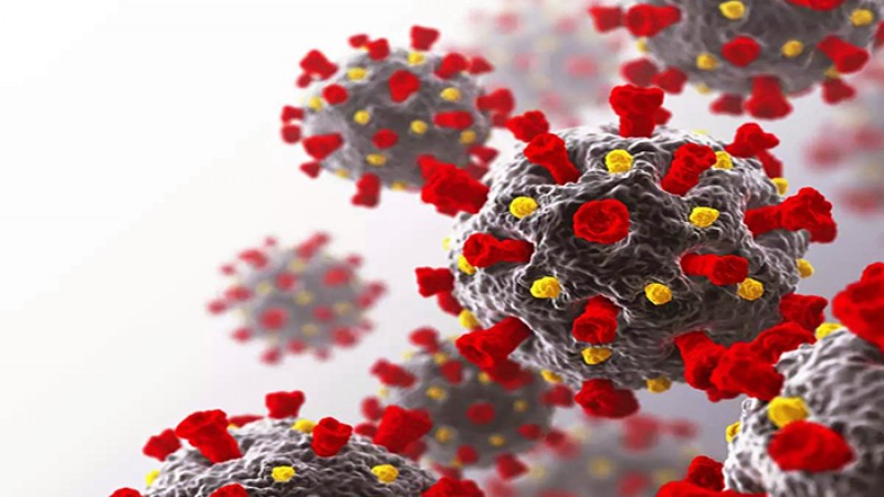 ভিয়েতনামে শনাক্ত হলো করোনার বিপজ্জনক ‘হাইব্রিড’ ভ্যারিয়্যান্ট