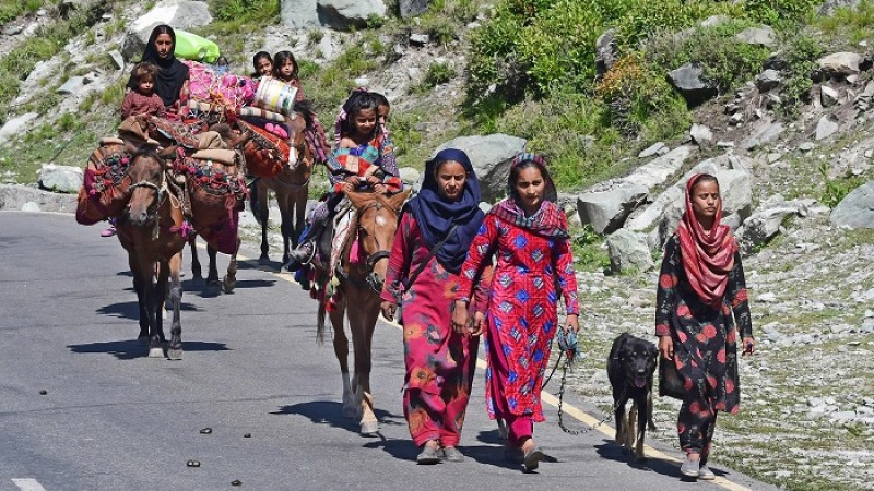 অস্তিত্বের সংকটে কাশ্মীরের বাকারওয়াল সম্প্রদায়