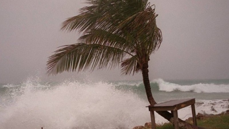 ঘূর্ণিঝড় ইয়াস: জোয়ারে সেন্টমার্টিনে উপড়ে যাচ্ছে গাছপালা