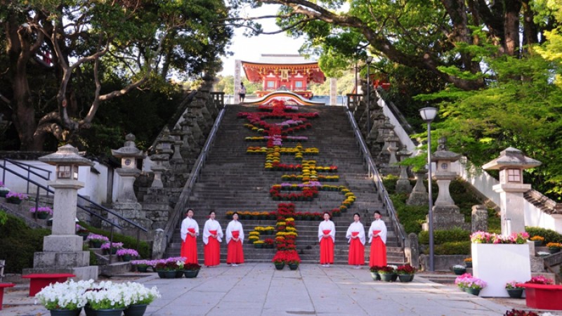 ভিসা ছাড়াই জাপানে যেতে পারবেন বিদেশি পর্যটকরা