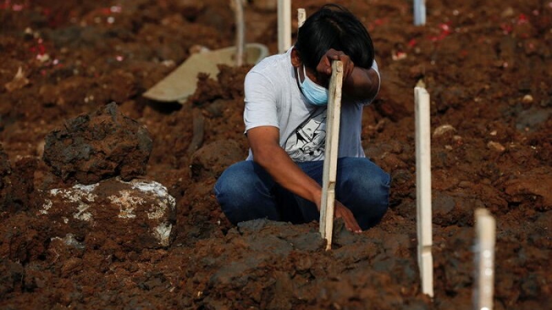 দেশে শনাক্তের হার ১৫.১২, মৃত্যু ১১৪