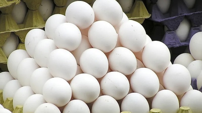 মালয়েশিয়ায় রেকর্ড পরিমাণ ডিম রপ্তানি করছে ভারত