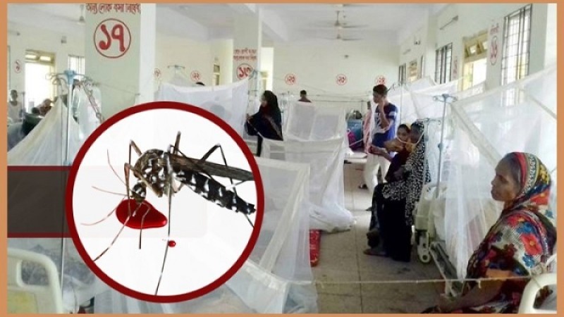 ডেঙ্গুতে আক্রান্ত ২০১ জন হাসপাতালে