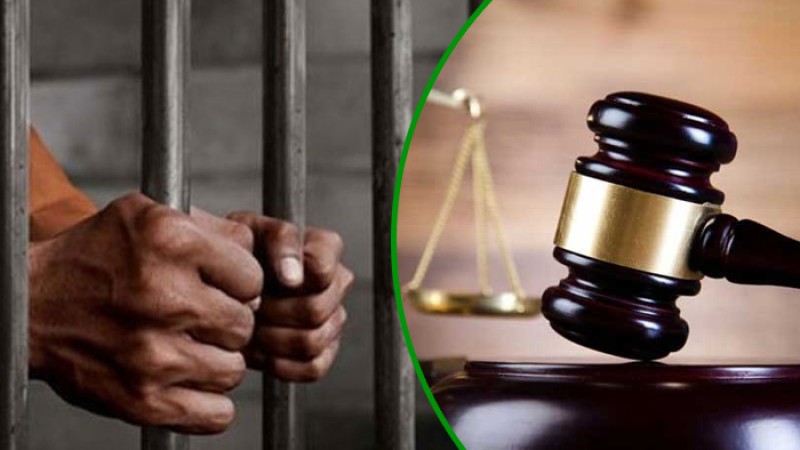 বাসে পর্ন দর্শন, বিশ্ববিদ্যালয় ছাত্রীর অভিযোগে যুবকের সাজা