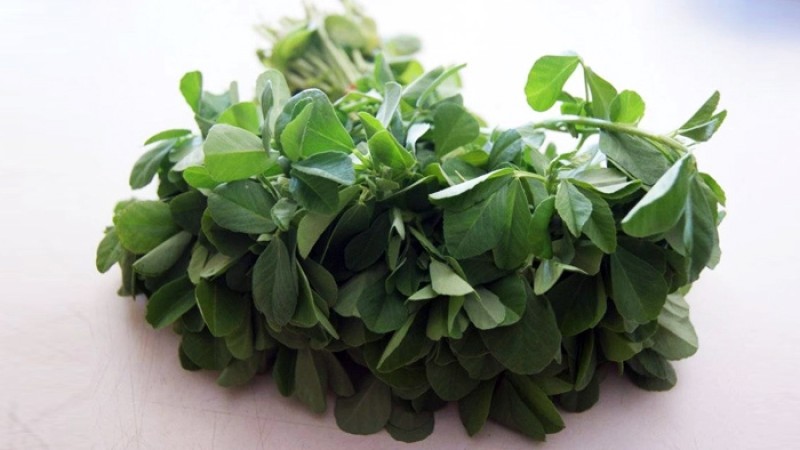 শীতের যেসব শাক ওজন কমায়