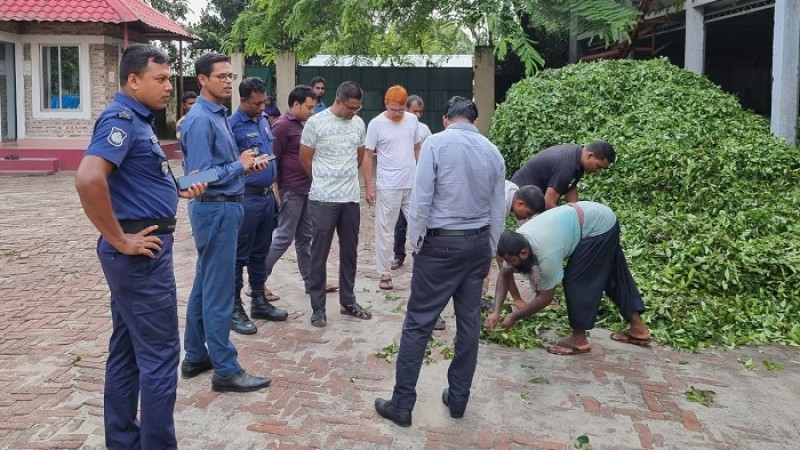 তেঁতুলিয়ায় কম দামে চা পাতা ক্রয় করায় দুই কারখানাকে জরিমানা
