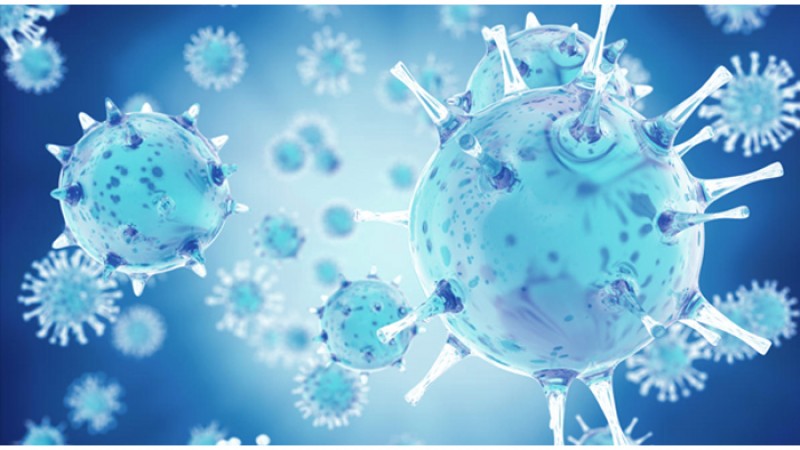 খুলনা বিভাগে করোনায় মৃত্যু ৩৫