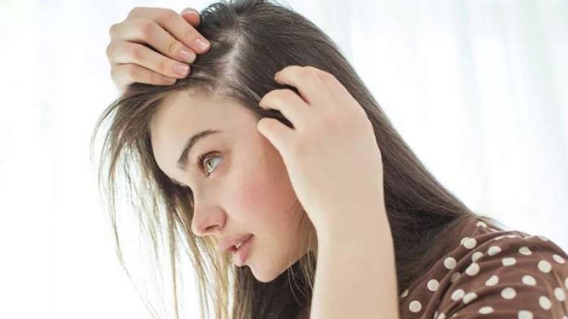 কম বয়সে চুলে পাক ধরেছে? ঘরোয়া উপায়ে কী ভাবে ফেরাবেন চুলের রং