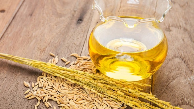 ভারতে চাহিদা বাড়ছে ‘রাইস ব্রান অয়েল’