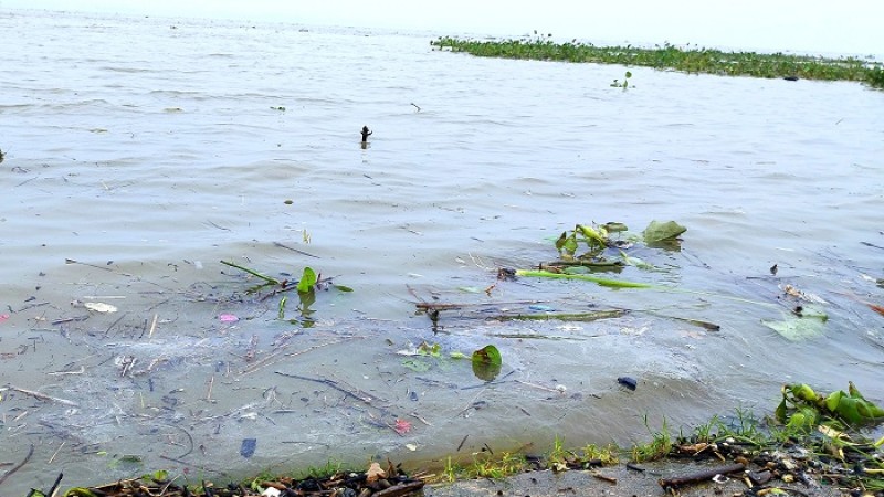 যমুনায় পানি বৃদ্ধি, নেই বন্যার শঙ্কা