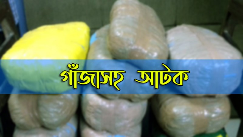 ৪৬ কেজি গাঁজাসহ ব্রাহ্মণবাড়িয়ায় আটক ১