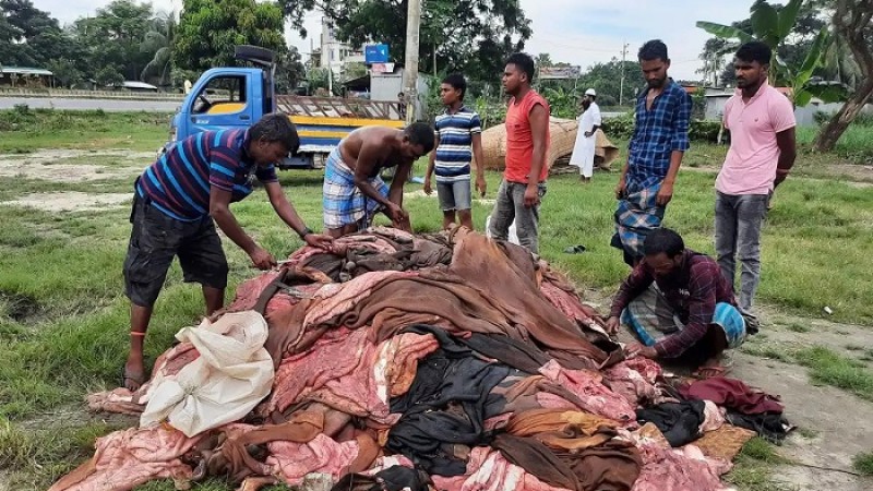 চামড়া নিয়ে এই সংকট আর কতকাল?