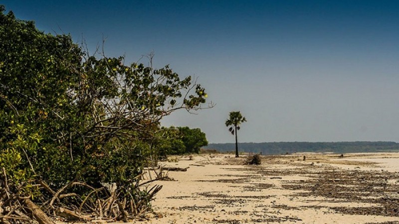 দুবলার চর বড় করার সম্ভাব্যতা যাচাই করতে  মন্ত্রণালয়কে সুপারিশ