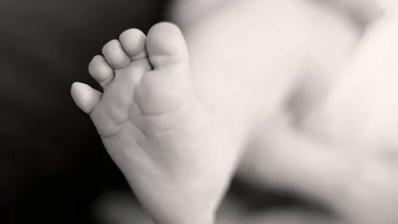 কেন্দ্রীয় শহীদ মিনারের পাশে পড়েছিল নবজাতকের মরদেহ