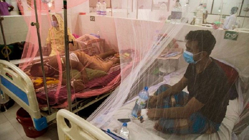 প্রায় প্রতিদিনই রেকর্ড ছাড়াচ্ছে ডেঙ্গু: স্বাস্থ্য সচিব