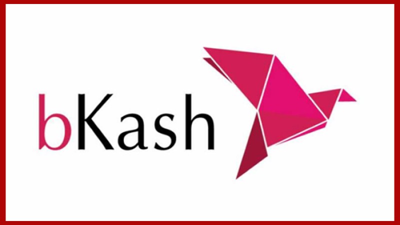 জনবল নিয়োগ দেবে বিকাশ