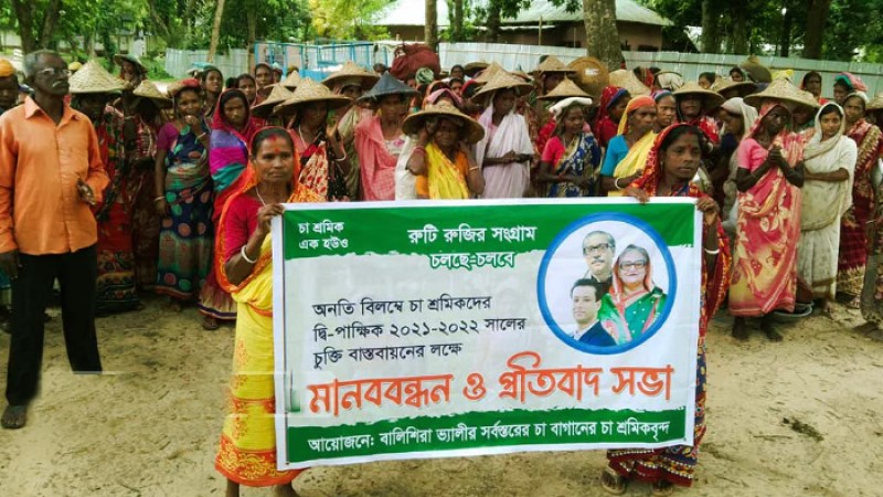 মজুরি বৃদ্ধির দাবি : চা বাগানে কর্মবিরতি অব্যাহত রাখার সিদ্ধান্ত