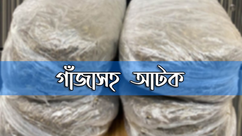 ১২ কেজি গাঁজাসহ দারুসসালামে আটক-৩
