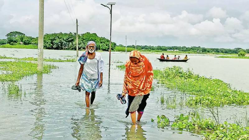 পদ্মায় পানি বেড়েছে, দৌলতপুরে নিম্নাঞ্চল প্লাবিত