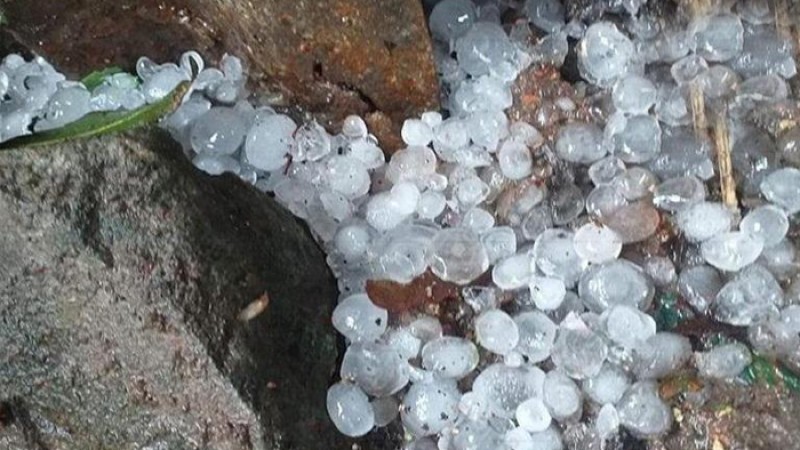 ফুলপুরে ঝড়সহ শিলাবৃষ্টি