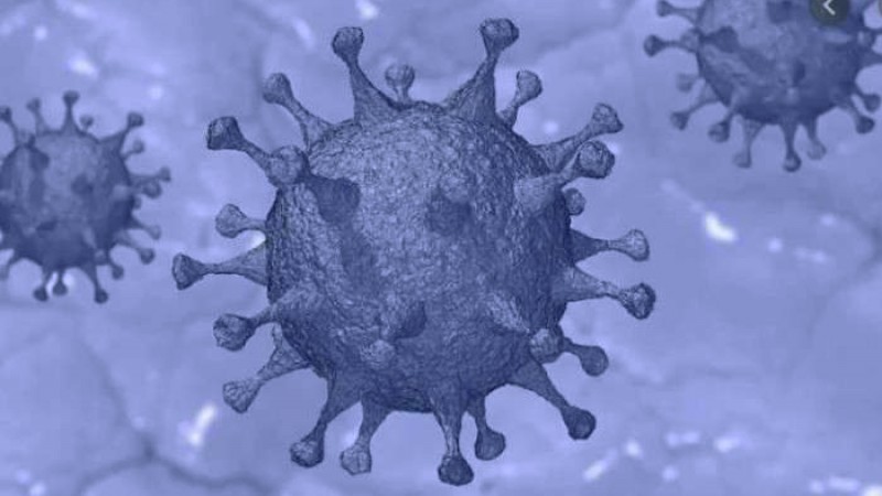 করোনায় দেশে মৃত্যুর সকল রেকর্ড ছাড়ালো