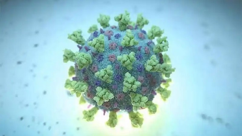 নতুন আতঙ্ক নিওকোভ! কার্যকর হবেনা কোনো টিকাই!