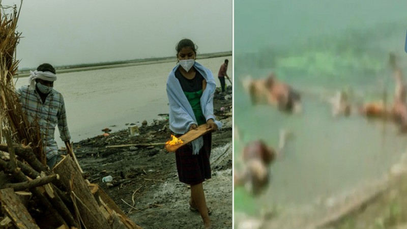 গঙ্গার তীরে ভেসে এল কয়েক ডজন লাশ