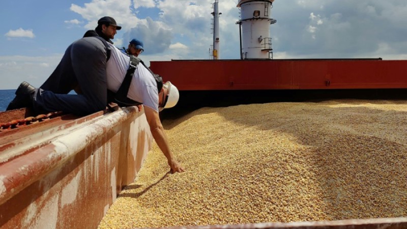 ইউক্রেনের বন্দর ছাড়ল আরও তিনটি খাদ্যশস্য বোঝাইকারী জাহাজ