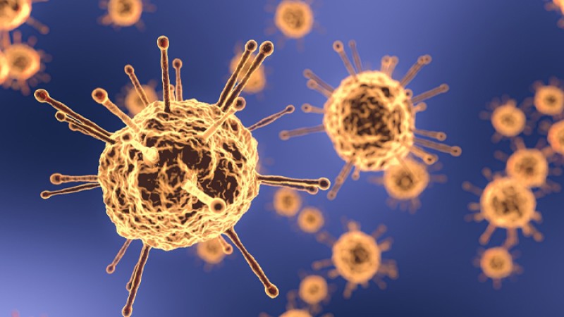 ‘দেশে কমতে শুরু করেছে করোনা সংক্রমণ’