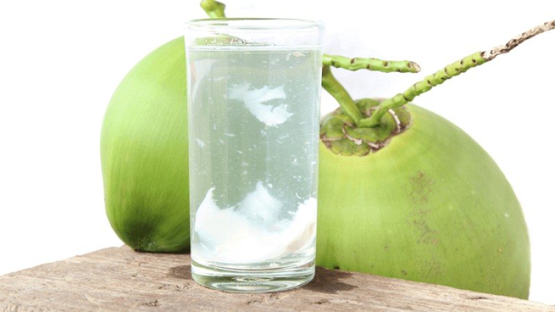 ডেঙ্গু রোগে যেসব খাবার উপকারী