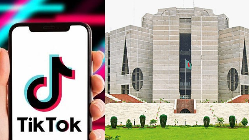 টিকটক বন্ধের সুপারিশ সংসদীয় কমিটির