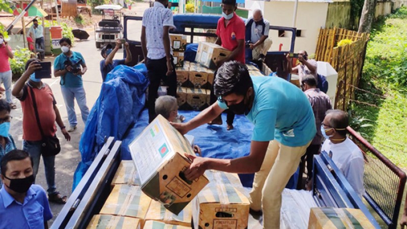 শেখ হাসিনার জন্য ২০ মণ আনারস পাঠালেন ত্রিপুরার মুখ্যমন্ত্রী