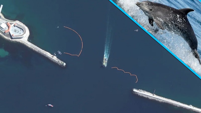 কৃষ্ণসাগরে রাশিয়ার ডলফিন বাহিনী