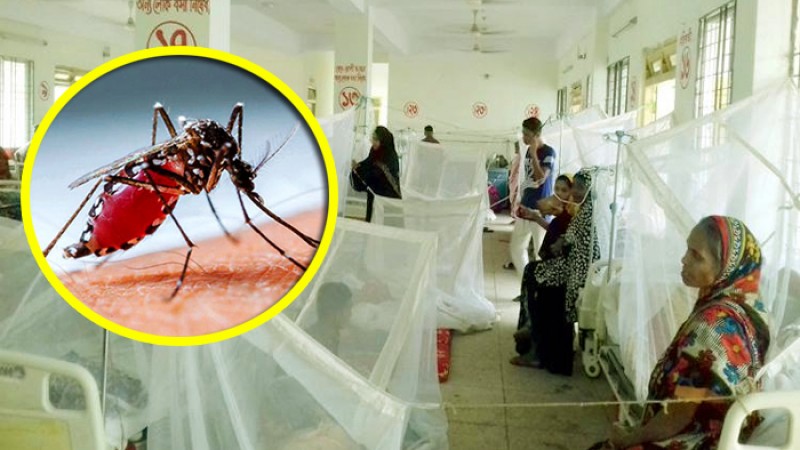 ডেঙ্গু আক্রান্ত হয়ে হাসপাতালে ভর্তি আরও ৩১৭ জন