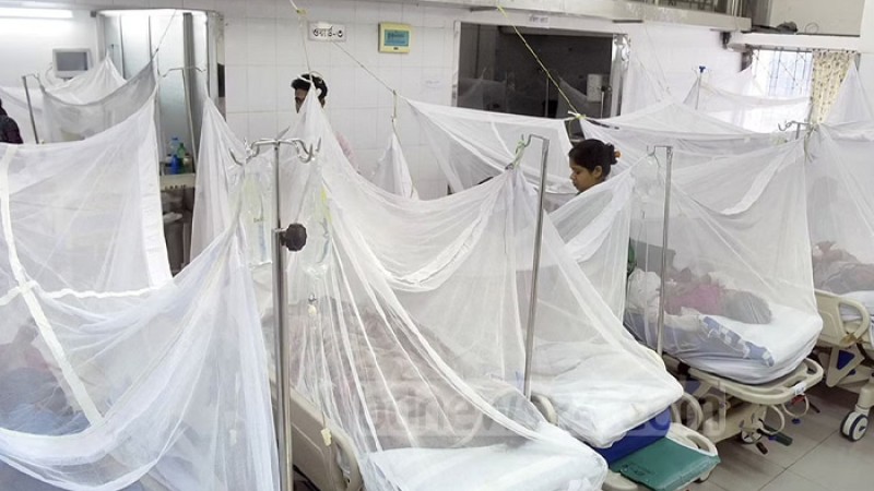 ডেঙ্গু আক্রান্ত হয়ে আরো ৩৫১ জন হাসপাতালে