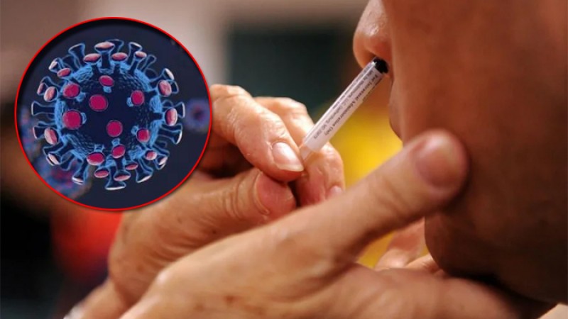 সূঁচ নয়, নাক দিয়ে করোনা টিকা, ট্রায়াল হবে বাংলাদেশে