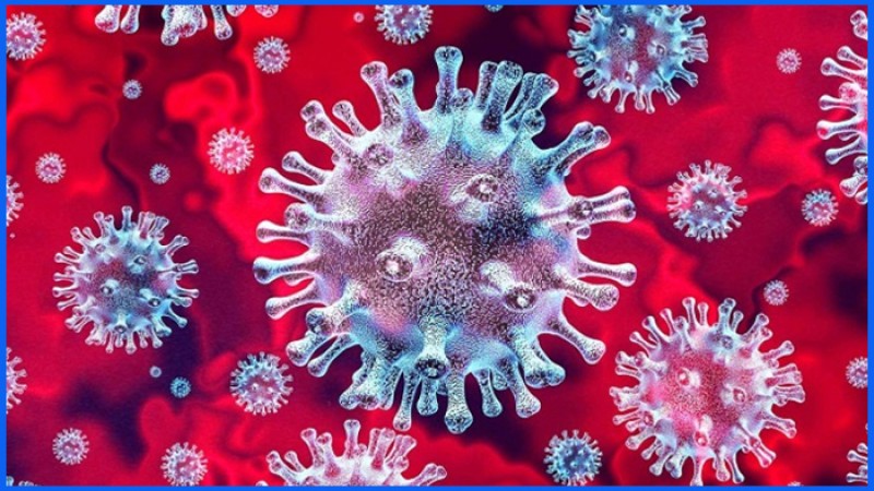 ২৪ ঘণ্টায় করোনা শনাক্ত ৩১