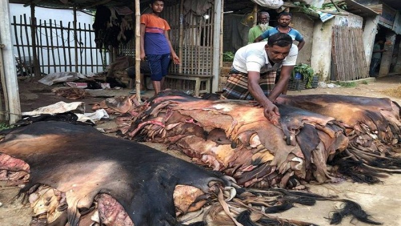 সাভারের শিল্পনগরীতে চামড়ার জন্য অপেক্ষা